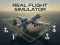 Spel Real Flight Simulator på nätet