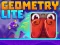 Spel Geometry Lite på nätet