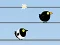 Spel Gone with the Birds på nätet