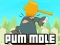 Spel Pum-Mole på nätet