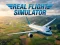 Spel Real Flight Simulator på nätet