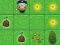 Spel Magic Seeds på nätet