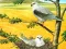 Spel Birds Of Prey Puzzle på nätet