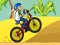 Spel BMX Boy Online på nätet