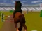 Spel Jumping Horse 3d på nätet