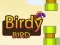 Spel Birdy Bird på nätet