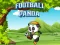 Spel Football Panda på nätet