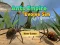 Spel Ants Empire Evolve Sim på nätet