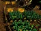 Spel Pixel Farm på nätet