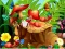 Spel Hidden Objects Insects på nätet