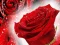 Spel Red Roses på nätet
