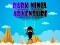 Spel Dark Ninja Adventure på nätet