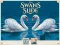 Spel Swans Slide på nätet