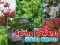 Spel Spring Flowers: Hidden Objects på nätet