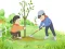 Spel Arbor Day Puzzle på nätet