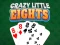 Spel Crazy Little Eights på nätet