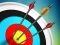 Spel Master Archery Shooting på nätet