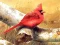 Spel Art Birds Puzzle på nätet