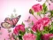 Spel Butterflies Puzzle på nätet