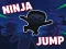 Spel Ninja jump på nätet