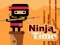 Spel Ninja Time på nätet