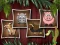 Spel Animal Shapes 3 på nätet