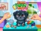 Spel Funny Puppy Care på nätet