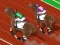 Spel Derby Racing på nätet