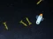 Spel 5 Minutes in Space på nätet