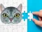 Spel Abyssinian Puzzle Challenge på nätet