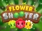 Spel Flower Shooter på nätet
