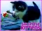 Spel Six Little Kittens på nätet