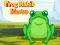 Spel Frog Match Master på nätet