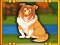 Spel Bernese Mountain Dog Escape på nätet