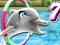 Spel My Dolphin Show 7 på nätet