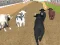 Spel Angry Bull Racing på nätet