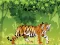 Spel Angry Tiger Coloring på nätet