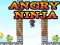 Spel Angry Ninja på nätet