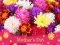 Spel 2019 Mother's Day Puzzle på nätet