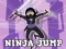 Spel Ninja Jump på nätet
