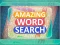 Spel Amazing Word Search på nätet