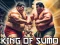 Spel King Of Sumo the ultimate brawl på nätet