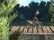 Spel Bike Trial Xtreme Forest på nätet