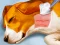 Spel Dog Hospital på nätet