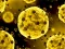 Spel Coronavirus Slide på nätet