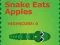 Spel Snake Eats Apples på nätet