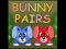 Spel Bunny Pairs på nätet