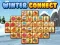 Spel Winter connect på nätet