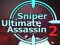 Spel Sniper Ultimate Assassin 2 på nätet