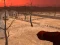 Spel Wasteland Shooters på nätet